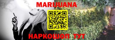 индика Апшеронск