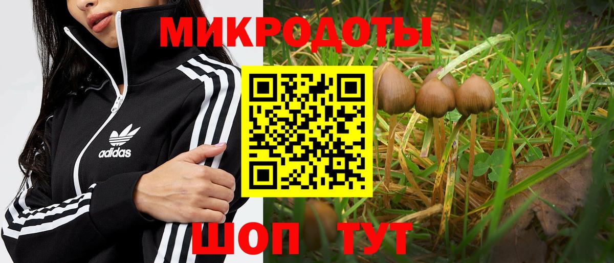 Богородск  Псилоцибиновые грибы Cubensis  Псилоцибиновые грибы Psilocybe  Вход с VPN 