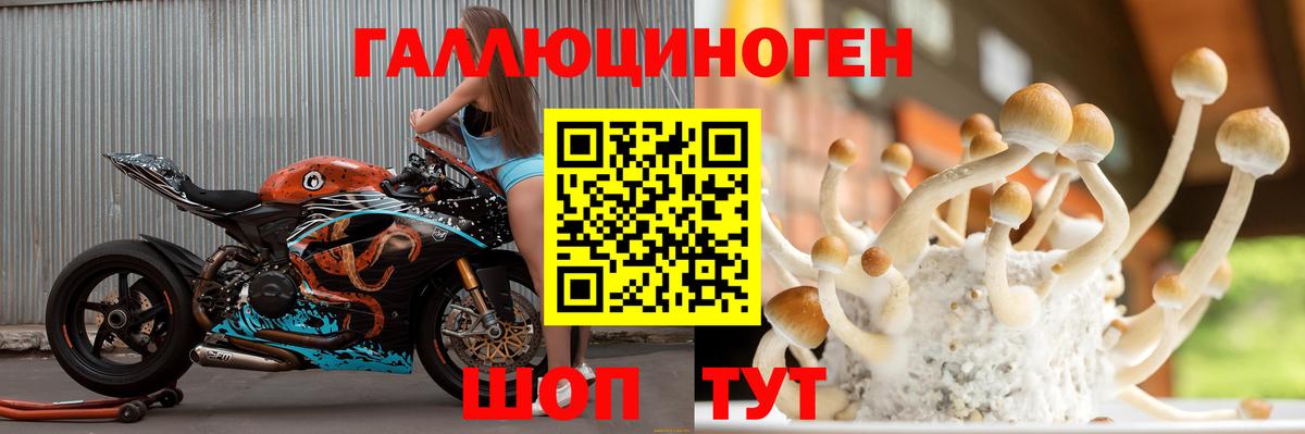 Галлюциногенные грибы Magic Shrooms Богородск